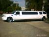 Foto de Glamour limousines