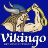 Foto de Eslingas Vikingo